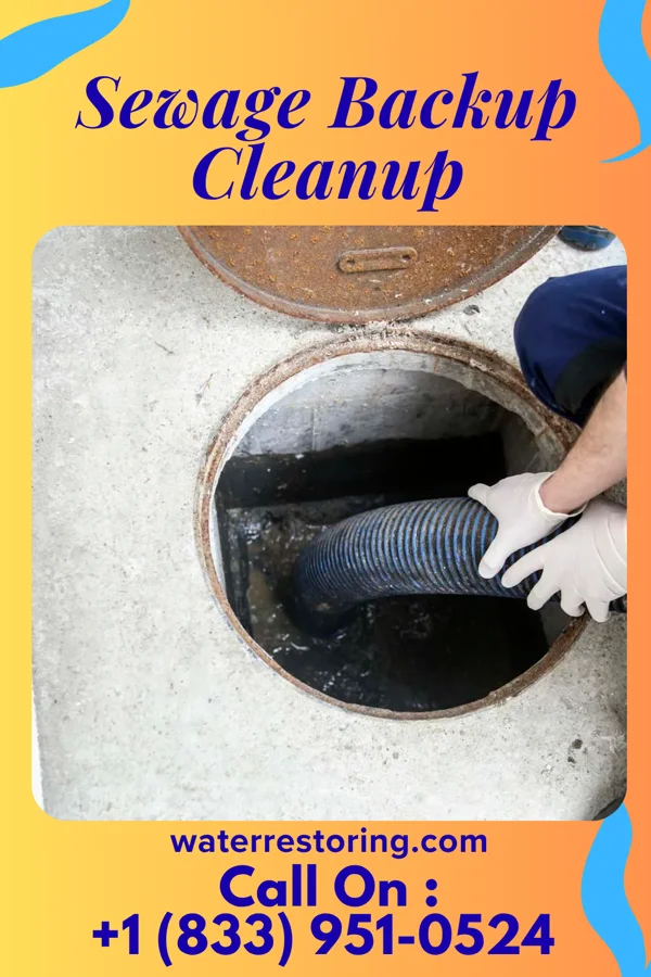 Sewage Backup Cleanup in Crowley, LA